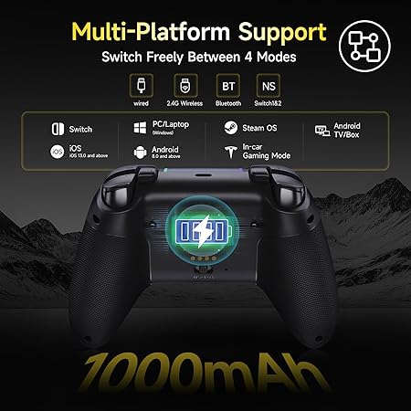 Controler schwartz